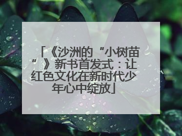 《沙洲的“小树苗”》新书首发式：让红色文化在新时代少年心中绽放