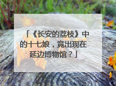 《长安的荔枝》中的十七娘，竟出现在延边博物馆？