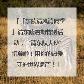 「东陵清风消夏季」清东陵暑期特别活动，“清东陵大使”招募啦！用你的热爱守护世界遗产！