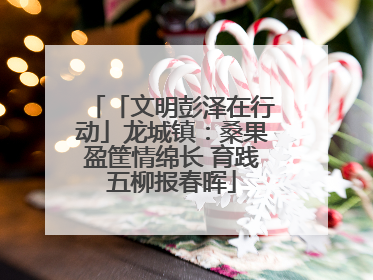 「文明彭泽在行动」龙城镇：桑果盈筐情绵长 育践五柳报春晖