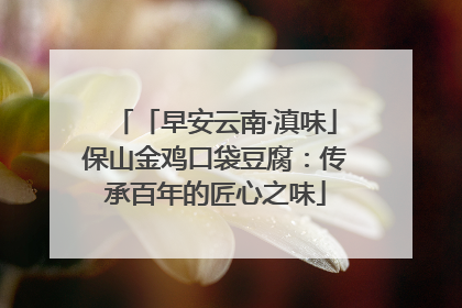 「早安云南·滇味」保山金鸡口袋豆腐：传承百年的匠心之味