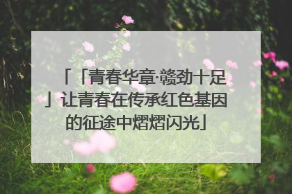 「青春华章·赣劲十足」让青春在传承红色基因的征途中熠熠闪光