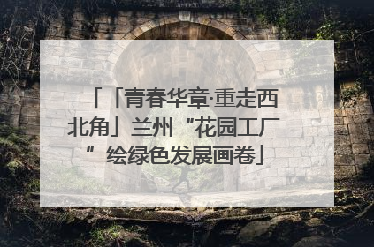「青春华章·重走西北角」兰州“花园工厂”绘绿色发展画卷