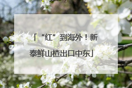 “红”到海外！新泰鲜山楂出口中东