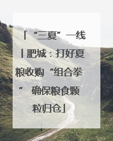 “三夏”一线丨肥城：打好夏粮收购“组合拳” 确保粮食颗粒归仓