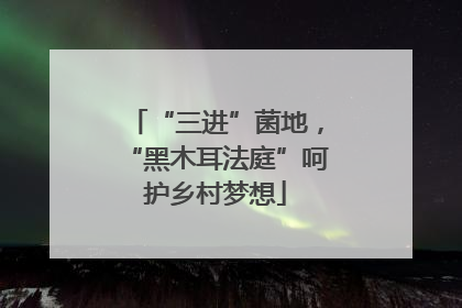 “三进”菌地，“黑木耳法庭”呵护乡村梦想
