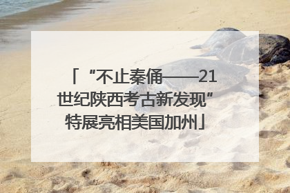 “不止秦俑——21世纪陕西考古新发现”特展亮相美国加州