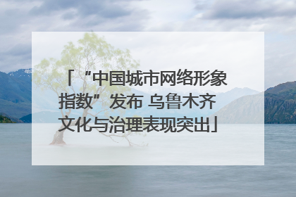 “中国城市网络形象指数”发布 乌鲁木齐文化与治理表现突出