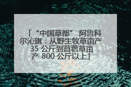 “中国草都” 阿鲁科尔沁旗：从野生牧草亩产 35 公斤到苜蓿草亩产 800 公斤以上