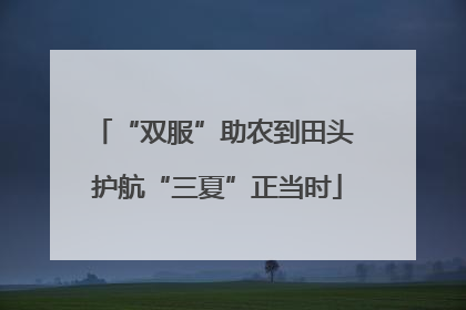“双服”助农到田头 护航“三夏”正当时
