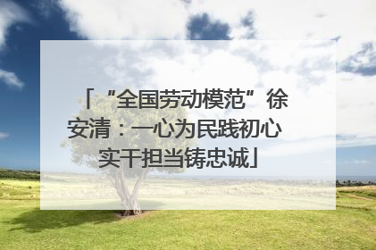 “全国劳动模范”徐安清：一心为民践初心 实干担当铸忠诚