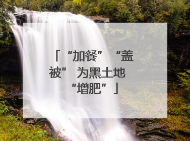 “加餐”“盖被” 为黑土地“增肥”