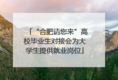“合肥请您来”高校毕业生对接会为大学生提供就业岗位