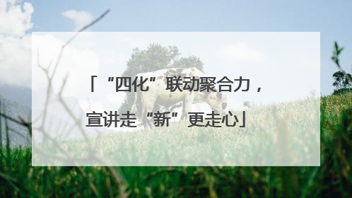 “四化”联动聚合力，宣讲走“新”更走心