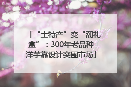 “土特产”变“潮礼盒”：300年老品种洋芋靠设计突围市场