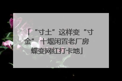 “寸土”这样变“寸金” 十堰闲置老厂房蝶变网红打卡地