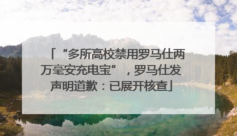“多所高校禁用罗马仕两万毫安充电宝”，罗马仕发声明道歉：已展开核查