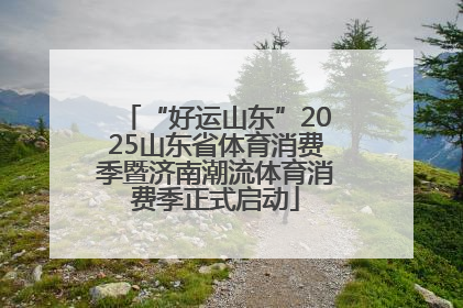 “好运山东”2025山东省体育消费季暨济南潮流体育消费季正式启动