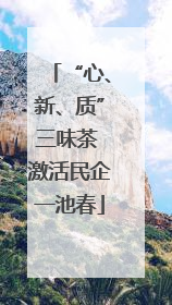 “心、新、质”三味茶 激活民企一池春