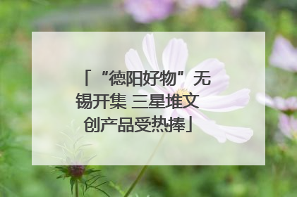 “德阳好物”无锡开集 三星堆文创产品受热捧