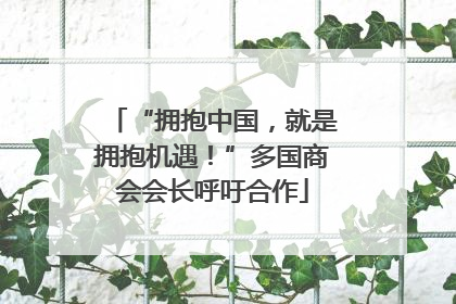 “拥抱中国，就是拥抱机遇！”多国商会会长呼吁合作