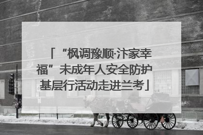 “枫调豫顺·汴家幸福”未成年人安全防护基层行活动走进兰考
