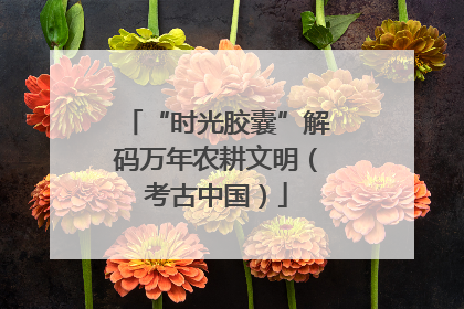 “时光胶囊”解码万年农耕文明（考古中国）