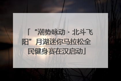 “潮势咏动・北斗飞阳”月湖迷你马拉松全民健身赛在汉启动