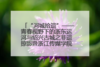 “河城拾遗”——青春视野下的浙东运河与绍兴古城之非遗掠影暨浙江传媒学院小学期来绍