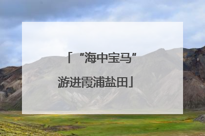 “海中宝马”游进霞浦盐田
