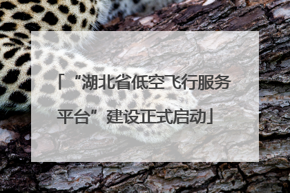 “湖北省低空飞行服务平台”建设正式启动