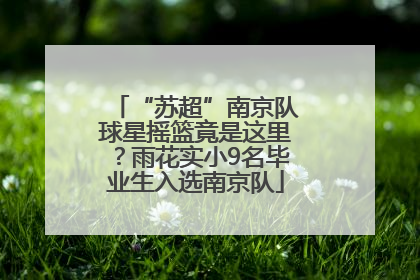 “苏超”南京队球星摇篮竟是这里？雨花实小9名毕业生入选南京队