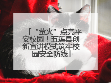“萤火”点亮平安校园！五莲县创新宣讲模式筑牢校园安全防线