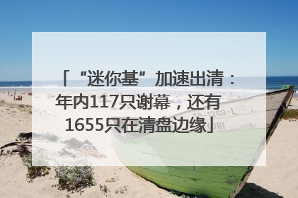 “迷你基”加速出清：年内117只谢幕，还有1655只在清盘边缘