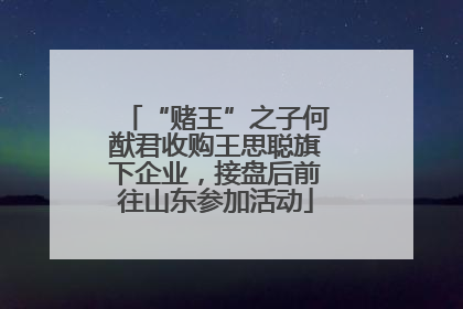 “赌王”之子何猷君收购王思聪旗下企业，接盘后前往山东参加活动