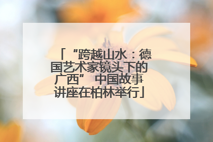 “跨越山水：德国艺术家镜头下的广西” 中国故事讲座在柏林举行