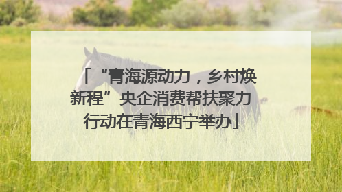 “青海源动力，乡村焕新程”央企消费帮扶聚力行动在青海西宁举办