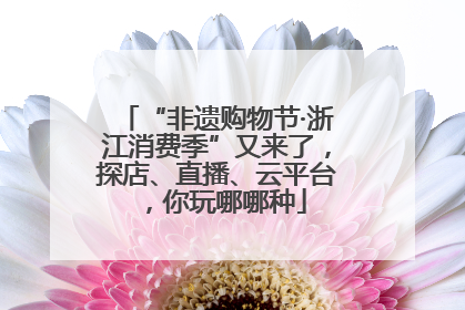 “非遗购物节·浙江消费季”又来了，探店、直播、云平台，你玩哪哪种