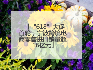 “618”大促首轮，宁波跨境电商零售进口销量超16亿元