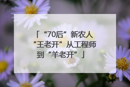 “70后”新农人“王老开”从工程师到“羊老开”