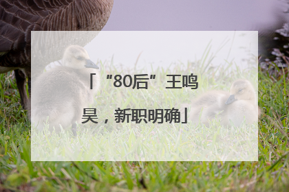 “80后”王鸣昊，新职明确