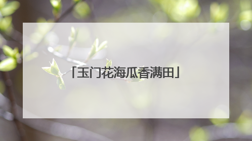 玉门花海瓜香满田
