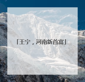 王宁，河南新首富