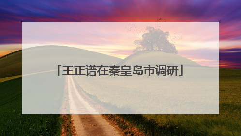 王正谱在秦皇岛市调研