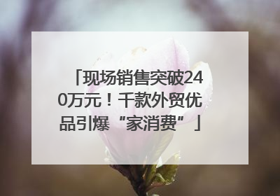 现场销售突破240万元！千款外贸优品引爆“家消费”