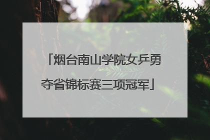 烟台南山学院女乒勇夺省锦标赛三项冠军