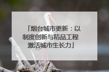 烟台城市更新：以制度创新与精品工程激活城市生长力