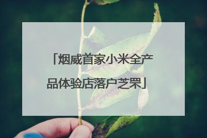 烟威首家小米全产品体验店落户芝罘