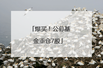 爆买！公募基金重仓7股