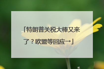 特朗普关税大棒又来了？欧盟等回应→